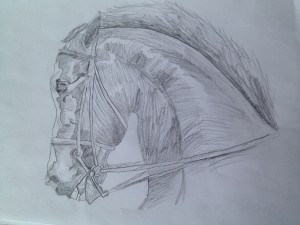 Horse Drawing, March 2, 2013