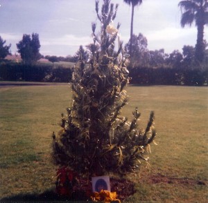 Tree Planting Broadway & Randolph,  Tucson, AZ December 1984